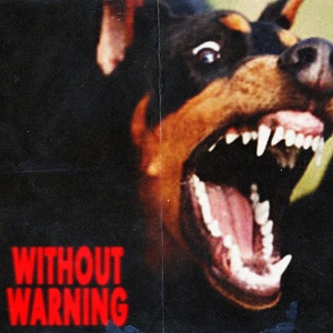 Without Warning cover