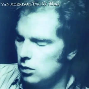 Into The Music cover