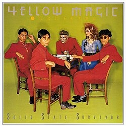 Solid State Survivor cover