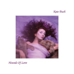 Hounds Of Love cover
