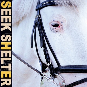 Seek Shelter cover