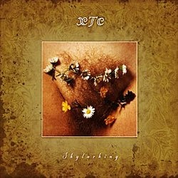 Skylarking cover