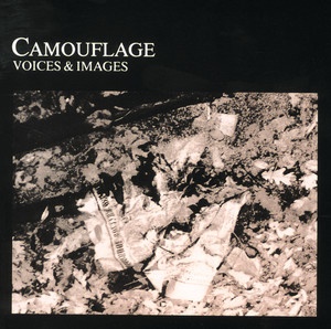 Voices And Images cover