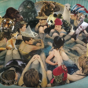 Person Pitch cover