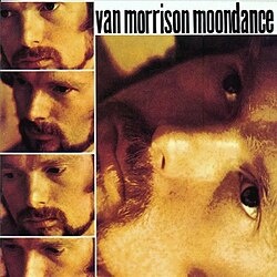 Moondance cover