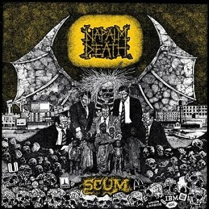 Scum cover