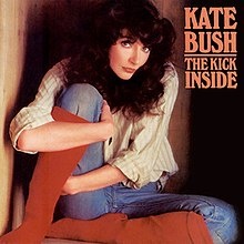 The Kick Inside cover