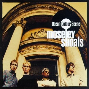 Moseley Shoals cover