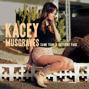 Same Trailer Different Park cover