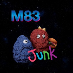 Junk cover