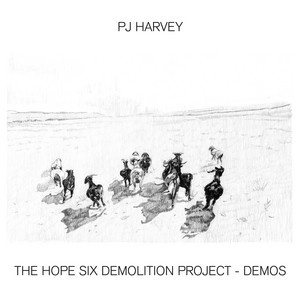The Hope Six Demolition Project cover