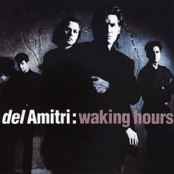 Del Amitri - Waking Hours