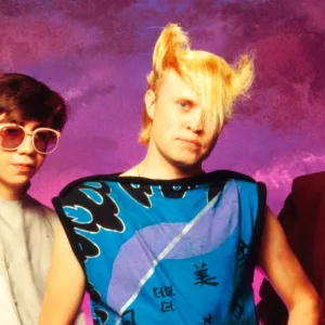 A Flock Of Seagulls